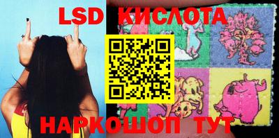 прущие грибы Бийск