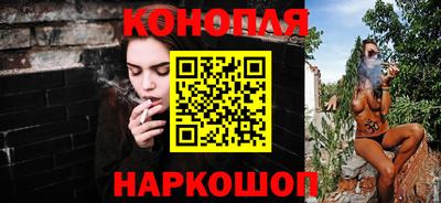 прущие грибы Бийск
