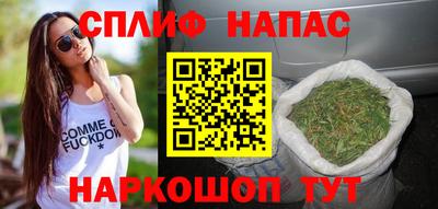 прущие грибы Бийск