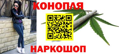 прущие грибы Бийск