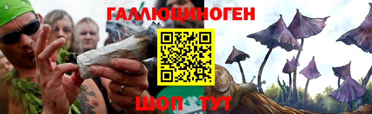 Псилоцибиновые грибы мухоморы Кировск